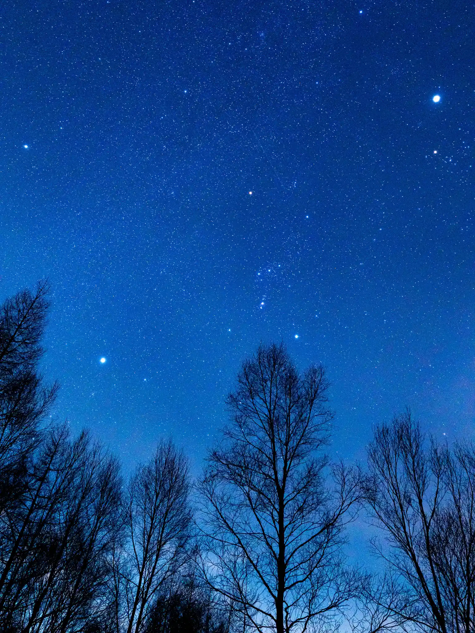 戦場ヶ原の美しい星空