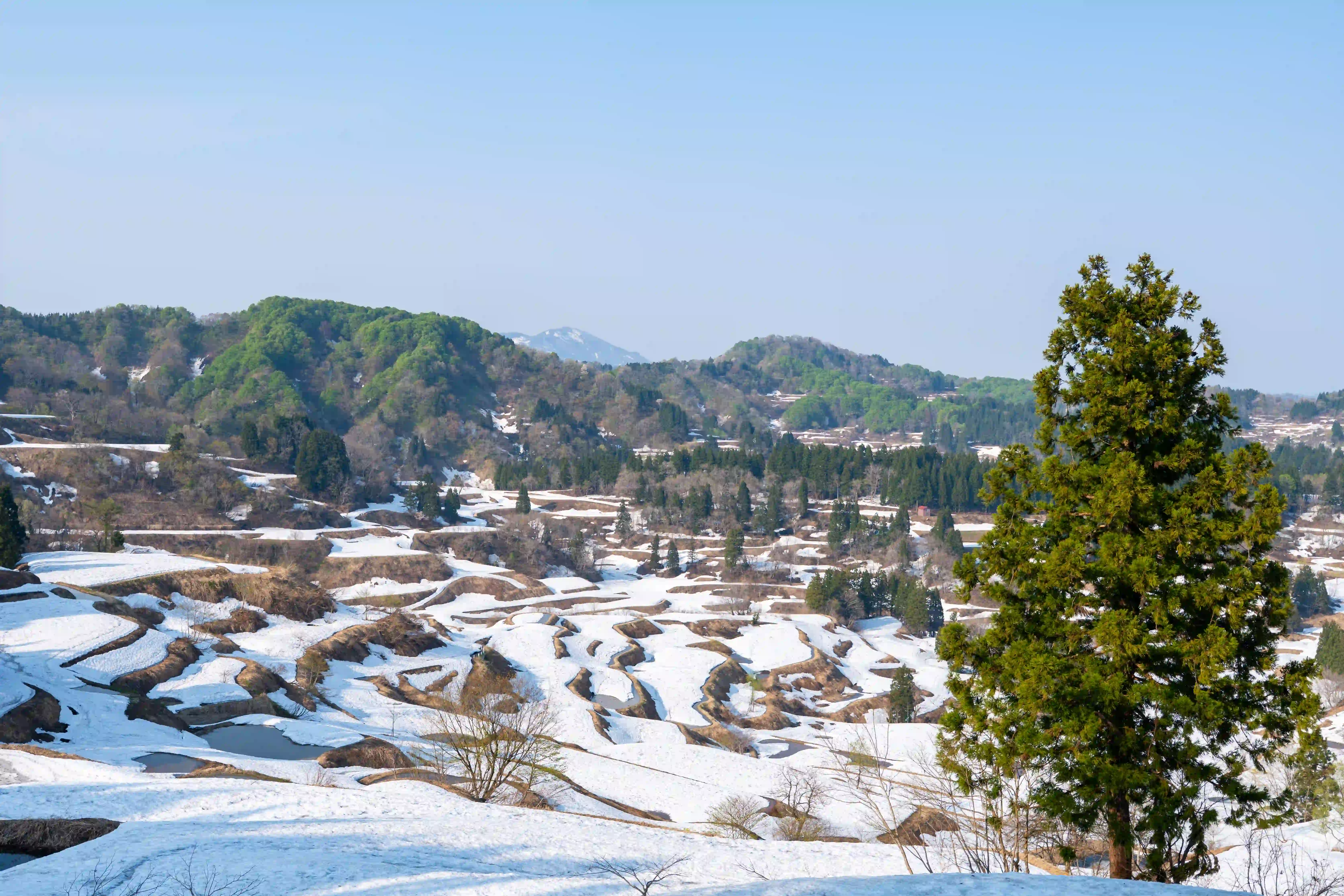雪が残る星峠の棚田
